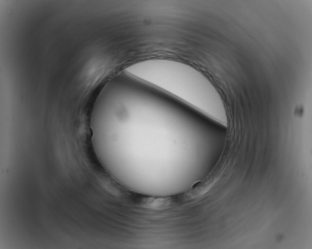 X0000103260135200808291052