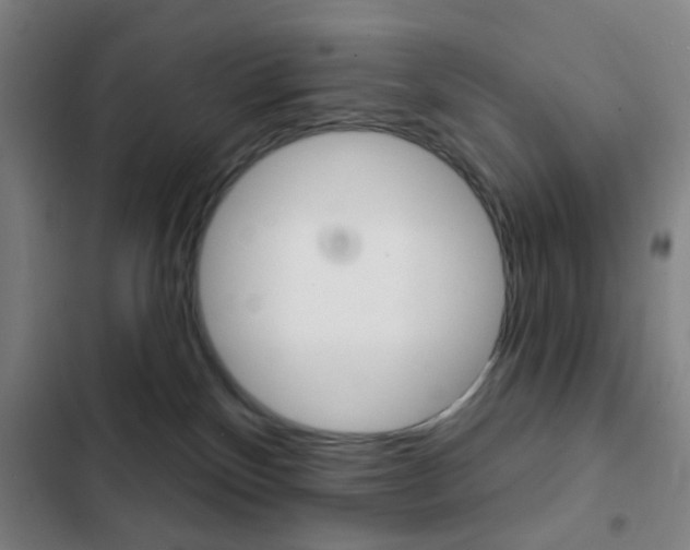 X0000103260136200808291052