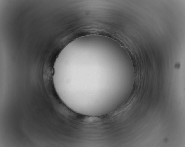 X0000103260137200808291052