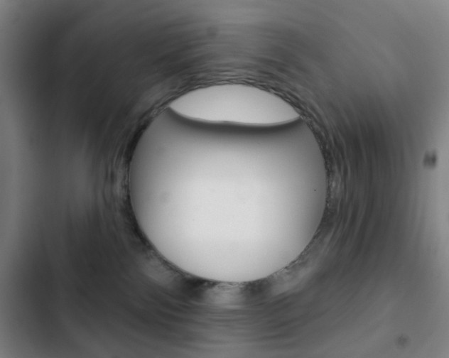 X0000103260138200808291052