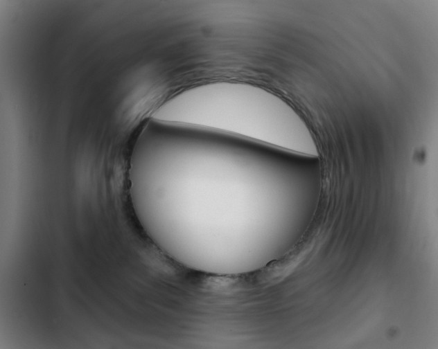 X0000103260139200808291052