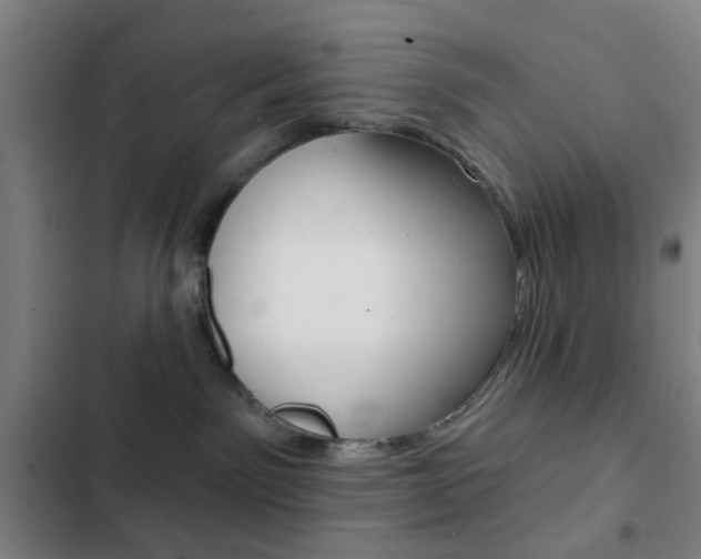 X0000103260141200808291052