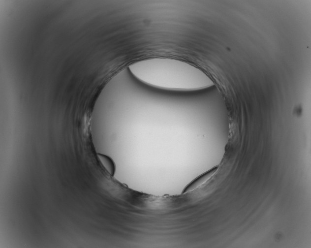 X0000103260142200808291052