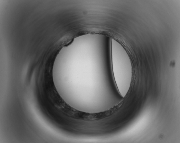 X0000103260143200808291052