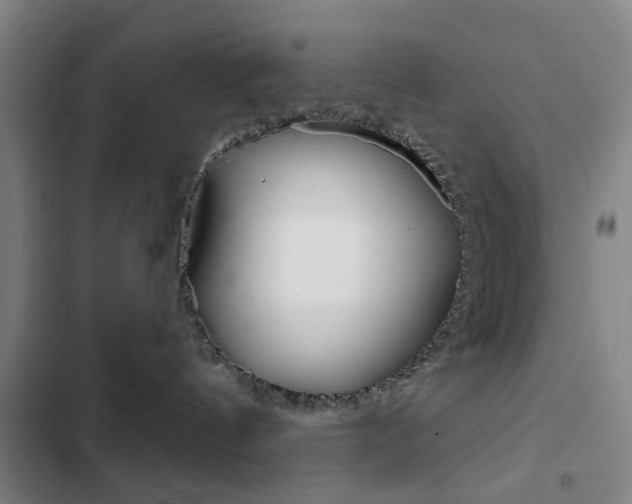 X0000103260144200808291052