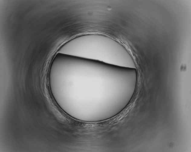 X0000103260145200808291051