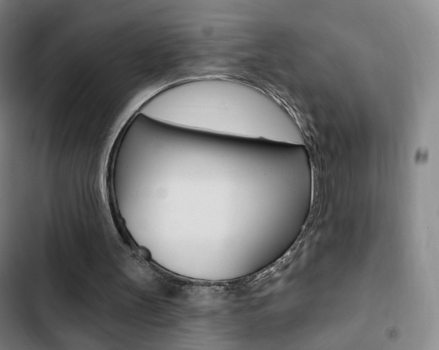 X0000103260147200808291051