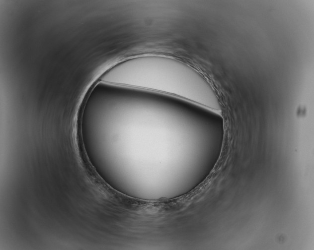 X0000103260148200808291051