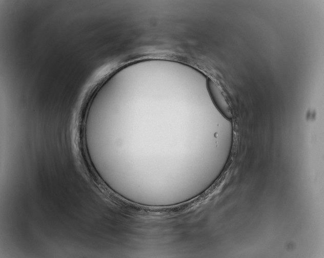 X0000103260149200808291051