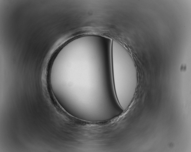 X0000103260150200808291051