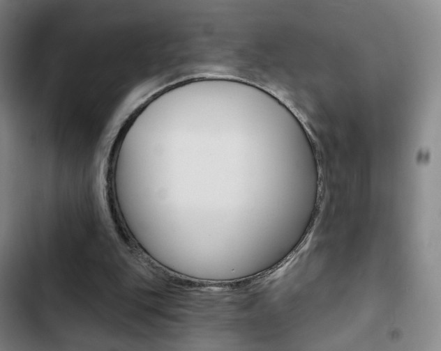 X0000103260151200808291051