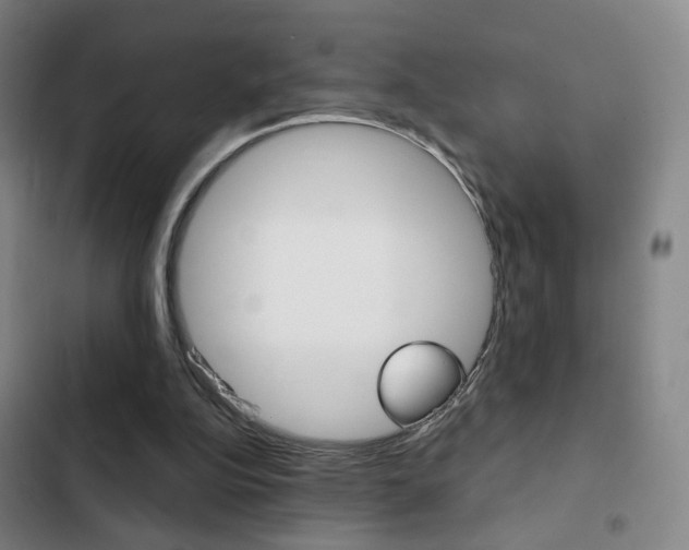 X0000103260152200808291051