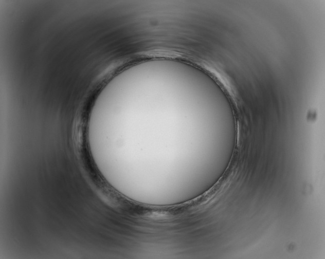 X0000103260157200808291051