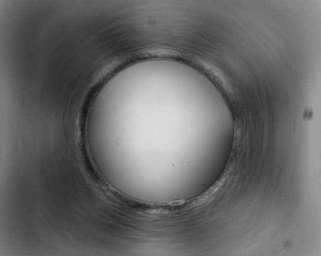 X0000103260158200808291051