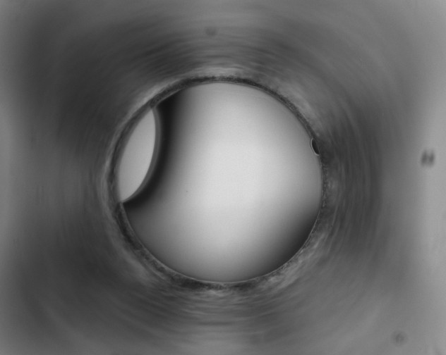 X0000103260160200808291051