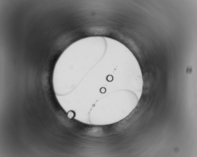 X0000103260162200808291051