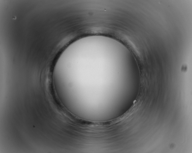 X0000103260164200808291051