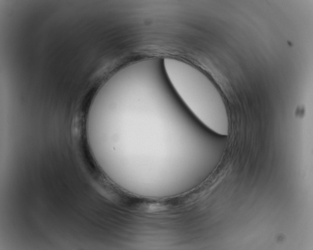 X0000103260165200808291051