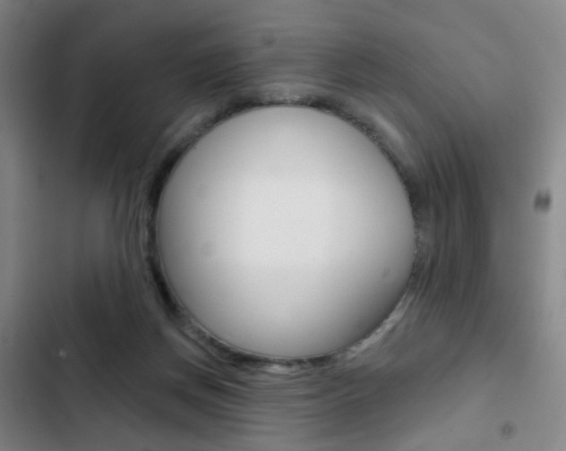 X0000103260166200808291051