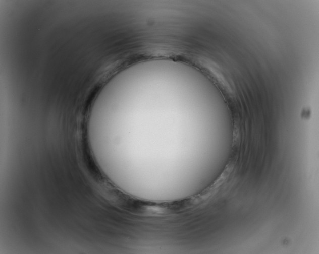 X0000103260167200808291051