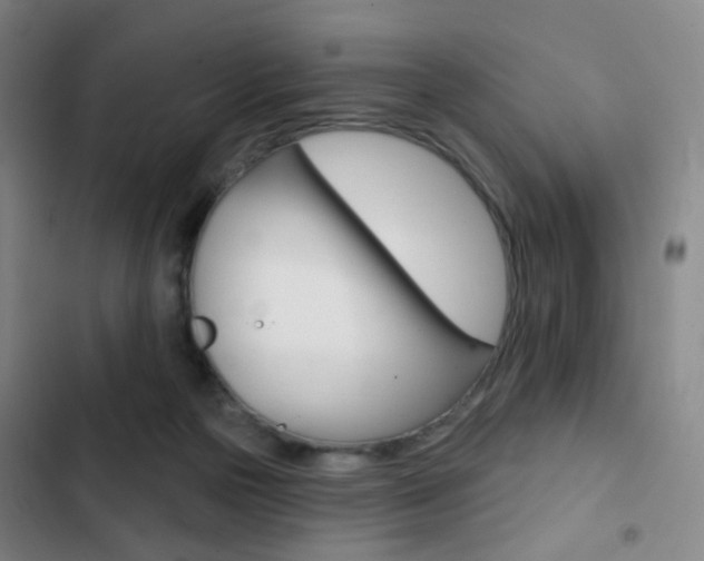 X0000103260169200808291051