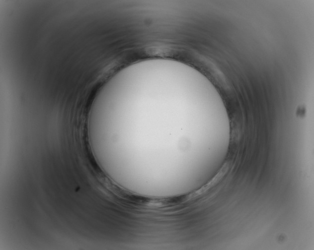 X0000103260171200808291051