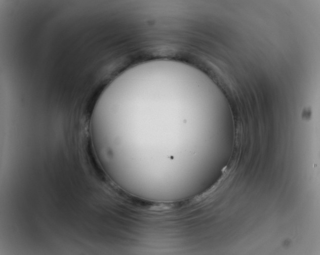 X0000103260172200808291051