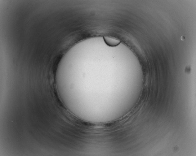 X0000103260173200808291051