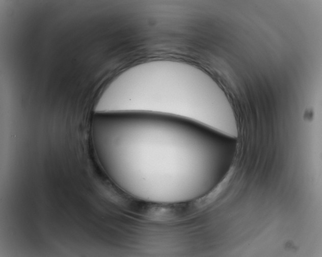 X0000103260174200808291051