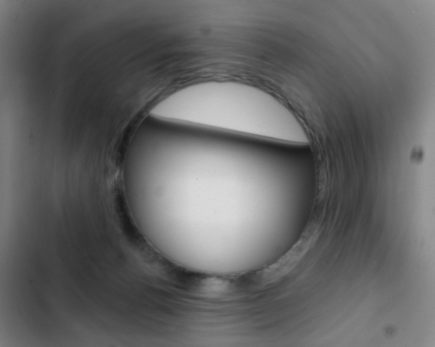 X0000103260176200808291051