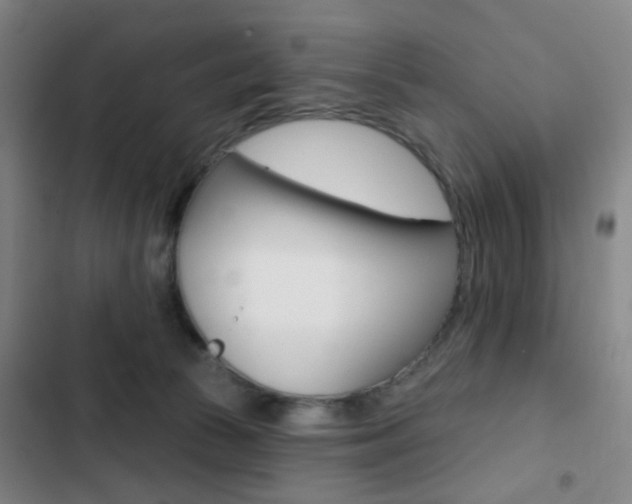 X0000103260177200808291051