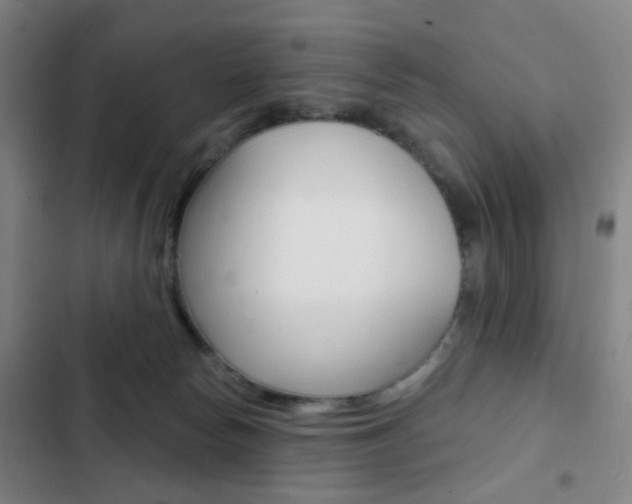 X0000103260178200808291051