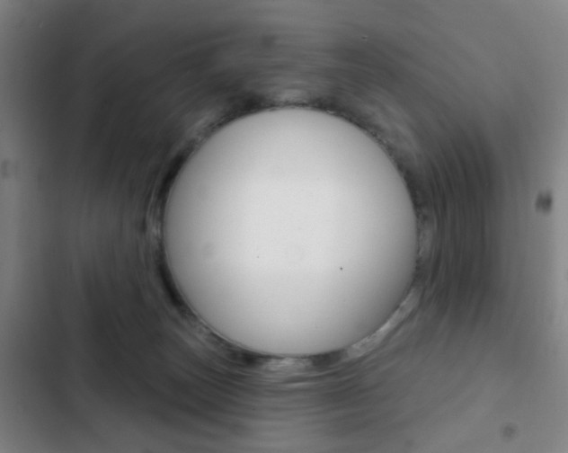 X0000103260179200808291051