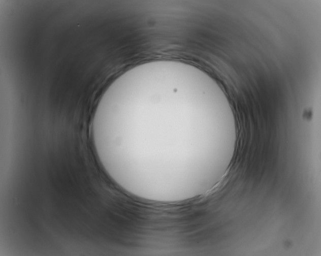 X0000103260180200808291051