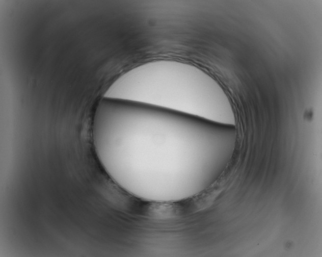 X0000103260181200808291051