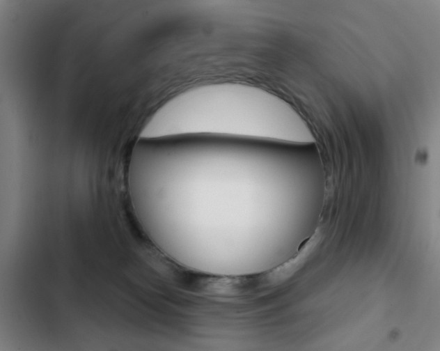 X0000103260182200808291051