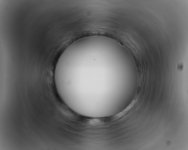 X0000103260183200808291051