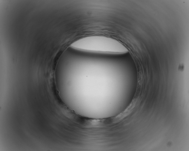 X0000103260184200808291051