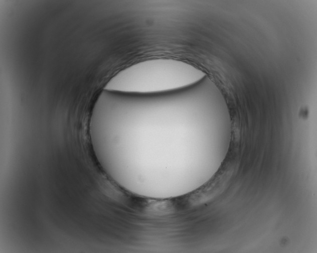 X0000103260185200808291052