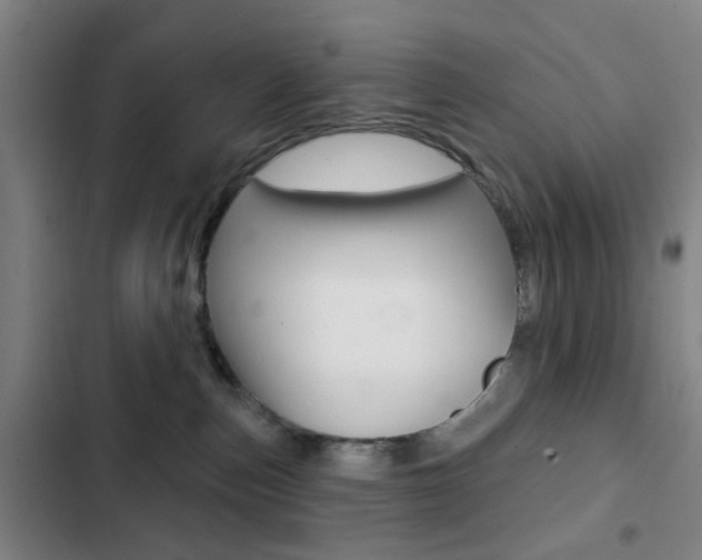 X0000103260187200808291052