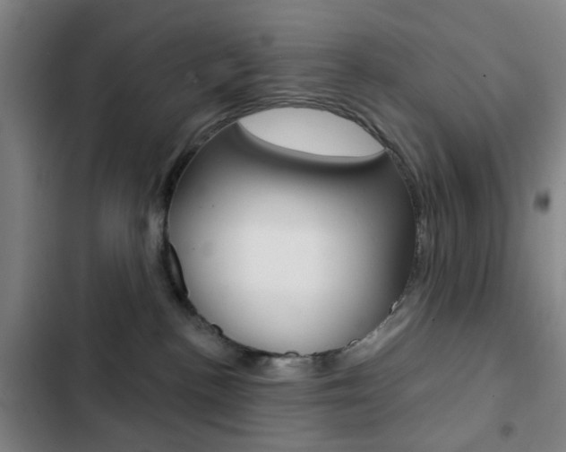 X0000103260188200808291052