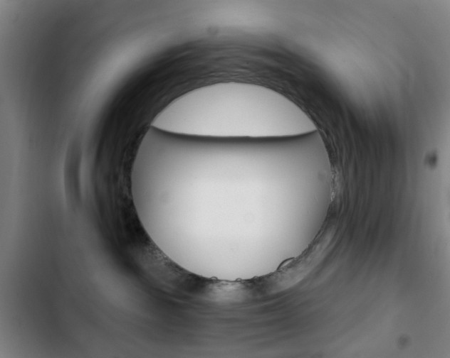 X0000103260189200808291052