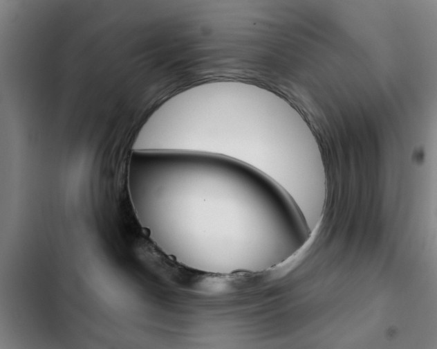 X0000103260190200808291052