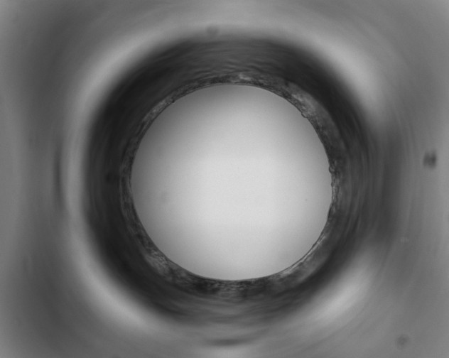 X0000103260191200808291052