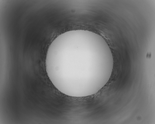 X0000103260192200808291052