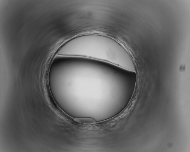 X0000103260193200808291051