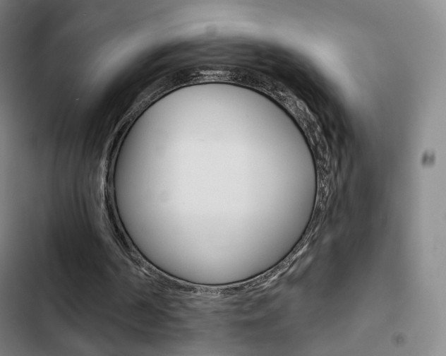 X0000103260194200808291051