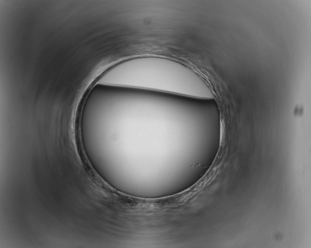 X0000103260195200808291051