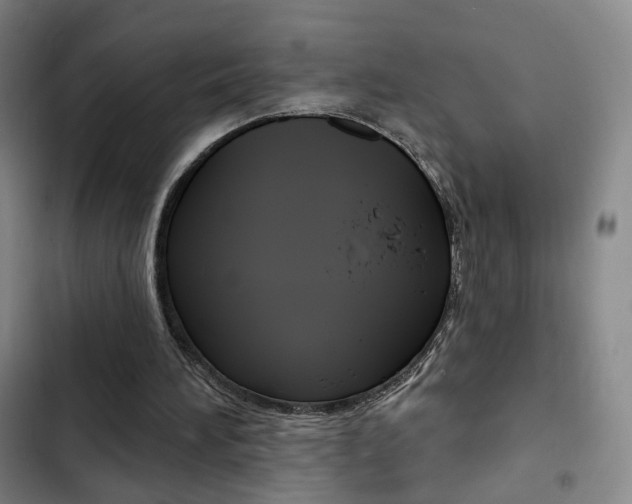 X0000103260196200808291051