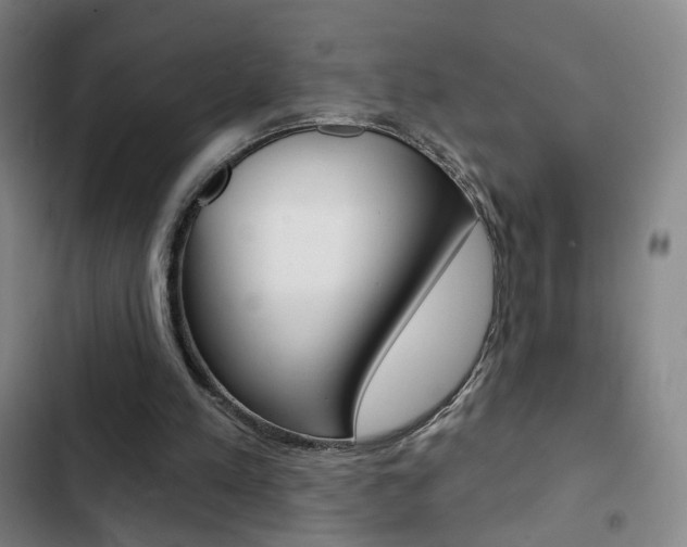 X0000103260197200808291051